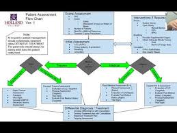 Patient Assessment Flow Chart Overview Explanation