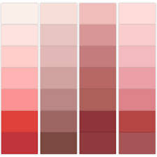 Interior Paint Colours