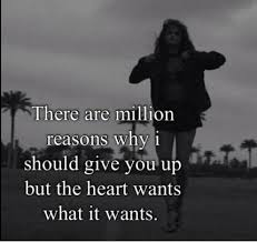 Selena Gomez The Heart Want What It Wants Song Quotes Just Lyrics Lyrics To Live By