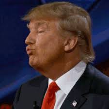 GIF donald trump