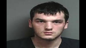 Macomb County Sheriff's office arrests suspects in breaking, entering spree