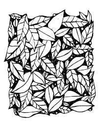 A Simple Drawing Of Leaves Overlapping Each Other I Love Drawing In Ink This Was Just A Little Easy Drawings Ink Drawing Illustration Easy Drawings Sketches