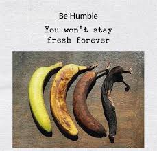 Be Humble You Won T Stay Fresh Forever Humble Yourself Humble Quotes Positive Quotes