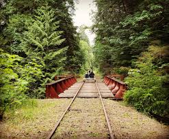 Very little learning curve to sitting and pedaling safely. Railbikes Route Review Vance Creek Railriders Washington