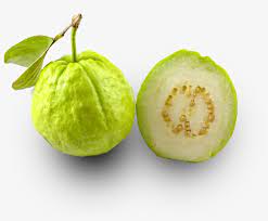 Batu besar, batu dan batu, ukiran batu, singkapan, kerikil png. Guava Png Image Guava Clip Art Jambu Batu Png Image Transparent Png Free Download On Seekpng