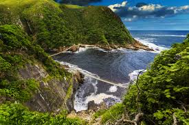 7 day road trip itinerary for the garden route of south africa. Best Garden Route Adventure Activities South Africa
