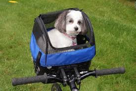 Throw your stuff in the basket, hit the road and quickly access your jackets and furry friends when you arrive at your destination. Pet Cover For Bessie Front Or Rear Basket Pet Bike Basket Bikase