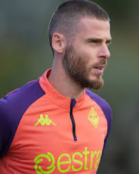 David Gea outing in Yellow 🟡🧤⚽️ One week to go. Back to it 🔜  @d_degeaofficial @acffiorentina #David #DeGea #DDG #Fiorentina #Florence  #LaViola #ForzaViola #Viola #SerieA #Italy