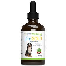 So, yes i would treat my own dog for lymphoma with. Life Gold Trusted Care For Dog Cancer Pet Wellbeing Ca