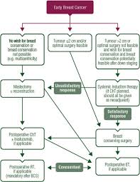 Image result for Breast Cancer Staging