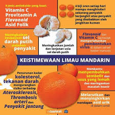 Atau sering beli buah ke pasar? Khasiat Keistimewaan Limau Mandarin
