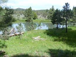 Maybe you would like to learn more about one of these? Recreational Property For Sale In Oregon