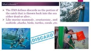 نتیجه جستجوی لغت [discards] در گوگل