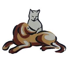 Maybe you would like to learn more about one of these? Dog And Cat Pet Care In Lancaster Sc Faulkner Animal Hospital