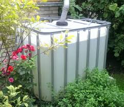 Regenwasser Im Garten Auffangen Die Besten Tipps Focus De