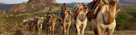 A cocoon of beach beauty as you relax in your private villa on the kenyan coast. Camel Safaris The Luxury Safari Company