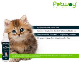 Shop chewy's sizzling summer savings for up to 40% off beds, litter, leashes & more. Petway Petcare Cat Shampoo Natural Pet Dandruff Shampoo Ph Balanced Shampoo With Plant Derived Surfactant Free Of Dea Phosphates Parabens Enzymes Removes Excess Oil Dirt And Dandruff 250ml Amazon Ae