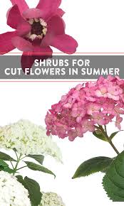 Maybe you would like to learn more about one of these? Pin On Make A Flower Bouquet