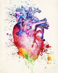 Imagen De Anatomy Art And Medicine Human Anatomy Art Biology Art Medical Art
