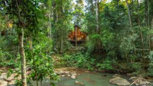 (532 reviews) great place to stay the only thing i was not happy about was the internet kept dropping out the owner said it was due to the weather…. Cairns Hinterland Accommodation
