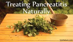 Protecting Your Pancreas Natural Remedies For Pancreatitis Natural Headache Remedies Herbs Healing Plants