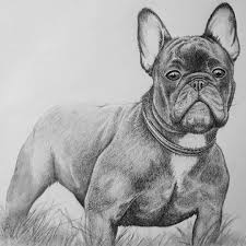 New users enjoy 60% off. Drawing Of A French Bulldog With Pencil Learntodraw