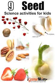 As well as activities for children, there are also lesson plans and worksheets for teachers, ideas for parents and a whole host of free teaching resources for anyone interested in learning about plants or other science subjects online. 9 Seed Science Activities For Kids