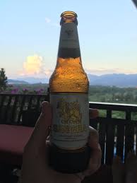 Pin By Chris Quillian On Beer In Hand Corona Beer Bottle Beer Bottle Corona Beer