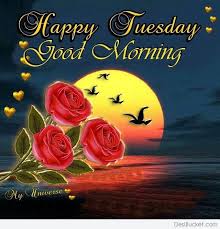 You may be looking for a beautiful good morning happy tuesday images hd, wishes, photos, and pictures for whatsapp dp, whatsapp status, facebook story, and instagram. Good Morning Wishes On Tuesday Pictures Images