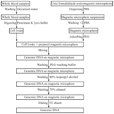 Full Text Extraction Of Human Genomic Dna From Whole Blood