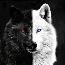 Pin By Sabeena Shamsi On Fantasy Wolf Eyes Wolf With Red Eyes Wolf Tattoos