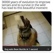 Meme S Quotes Memes Its Memes Laughing Memes Memes Quotes Funnie Memes I Meme Truthful Memes Happy Really Funny Memes Funny Relatable Memes Funny Memes