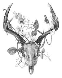 Drawing Skulls And Bone Deer Skull Tattoos Skull Tattoo Design Art