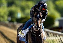 Who wins the 2021 preakness stakes? A16wjhdz56pfim
