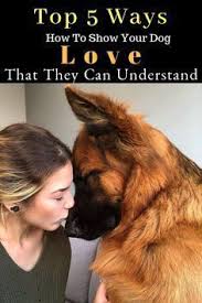 6 Ways To Show Your Dog Love That They Can Understand Dogspaceblog 2020 Kopek Egitimi Kopek Tips