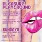 Pleasure Playground - gathering 2/3 event image