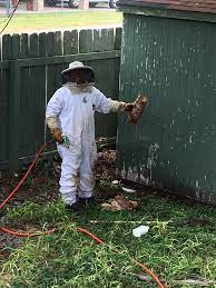 New braunfels pest control services are rated 4.72 out of 5 based on 1,991 reviews of 19 pros. Gold Star Pest Control Home Facebook
