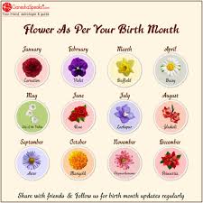 Read more about january zodiac flower. Birth Month Flower In 2021 February Birth Flowers Birth Month Flowers Aquarius Flower