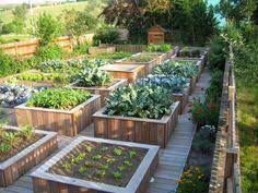 superbe potager en carre ma passion du verger et passion potager bio en permaculture jardin potager carre potager jardin en carre