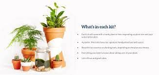 Houseplant Subscription Program Thoughtfully Designed For You Monthly Plant Subscription Accessories Currently Available In Plant Care Plants Indoor Gardens