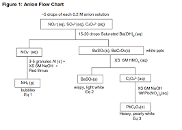 Solved What Would Be The Same And What Would Be Different