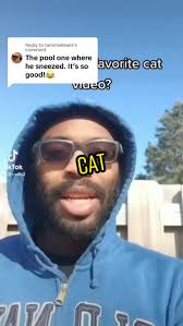 Replying to @tammiellewis #catsoftiktok #cat #cattok