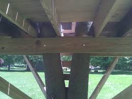 Trees can act like sails, catching the wind; How To Build A Cheap Tree House My 300 Tree Fort Action Economics