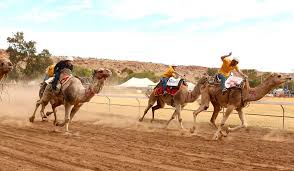 She's a 15.1hh standardbred, i've never had any problem with her carrying my weight before, and our instructor has no problem with me riding her. Outback Racing Alice Springs Camel Cup Australian Traveller