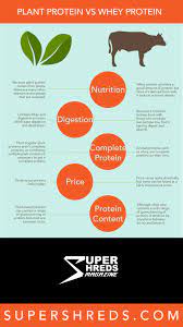 Pin On Supplements
