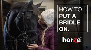 In the beginning, putting on a horse's bridle may seem like a confusing mess. How To Put A Bridle On A Horse The Horze Lester Bridle Back To Basics Youtube