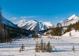 University of alberta is a top 5 canadian university and one of the top 150 in the world. An Alternative Winter Break In Alberta Canada