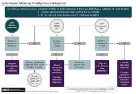 Diagnosis Lyme Disease Action