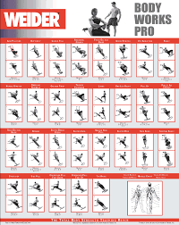 Weider Workout Guide Gym Exercise Chart Home Routine
