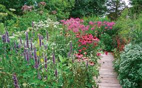 Bees, butterflies, moths, wasps, and other insects pollinate many of our crops. Designing A Stylish Pollinator Garden Finegardening